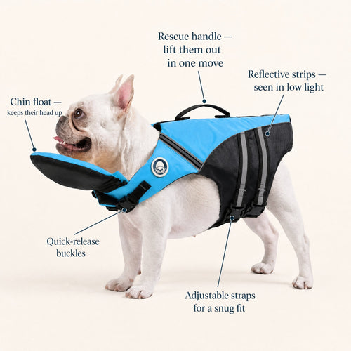 The Otterly Life Jacket